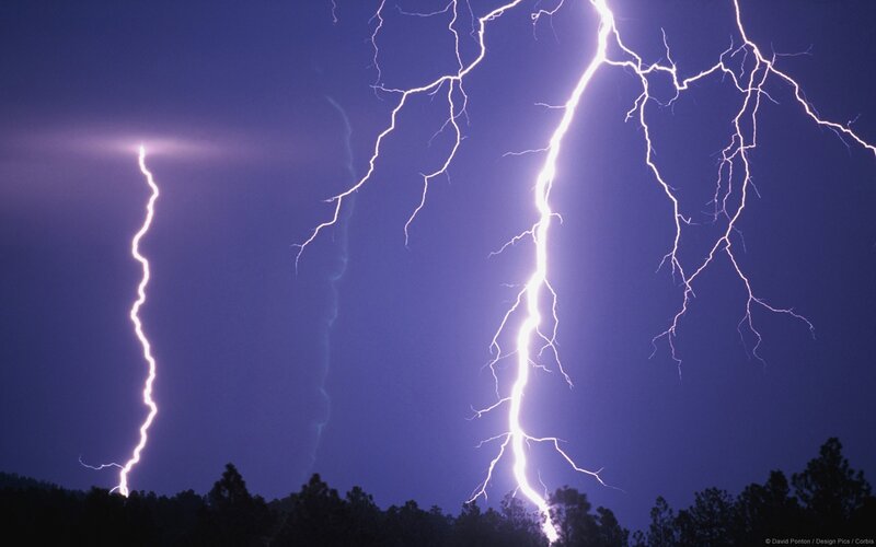 Multiple Lightning Strikes — Trees