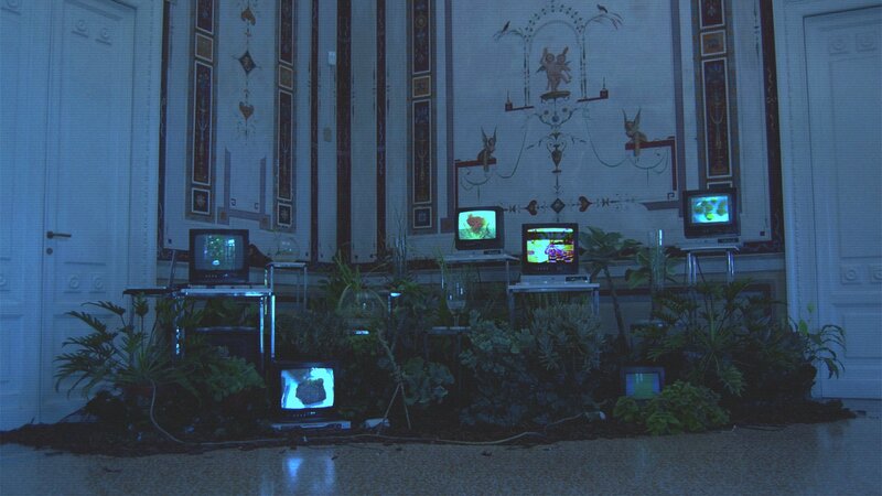 Multiple Monitors in Plants
