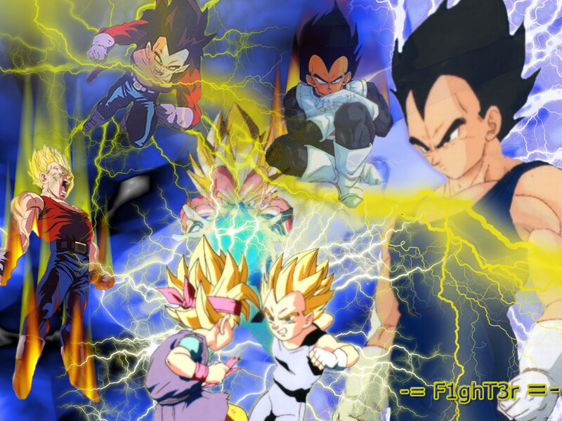 Multiple Vegeta Characters