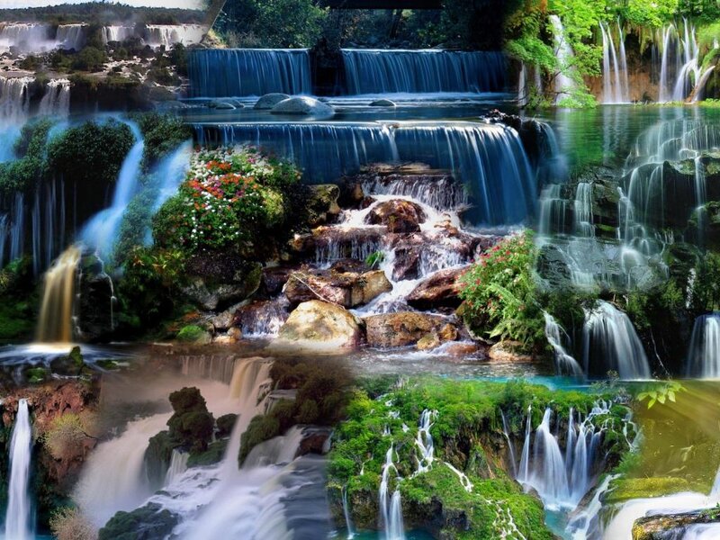 Multiple Waterfalls in Forest — Green, Serene, Afternoon, Photograph, Flowers