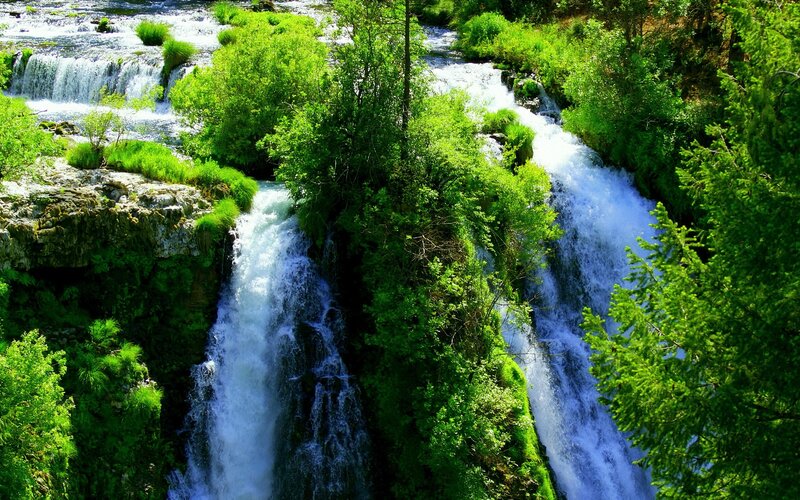 Multiple Waterfalls in Forest — Green, Serene, Afternoon, Photograph, Trees, Rocks, River, White