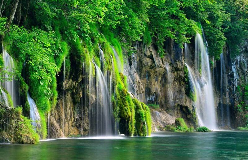 Multiple Waterfalls in Forest — Green, Serene, Afternoon