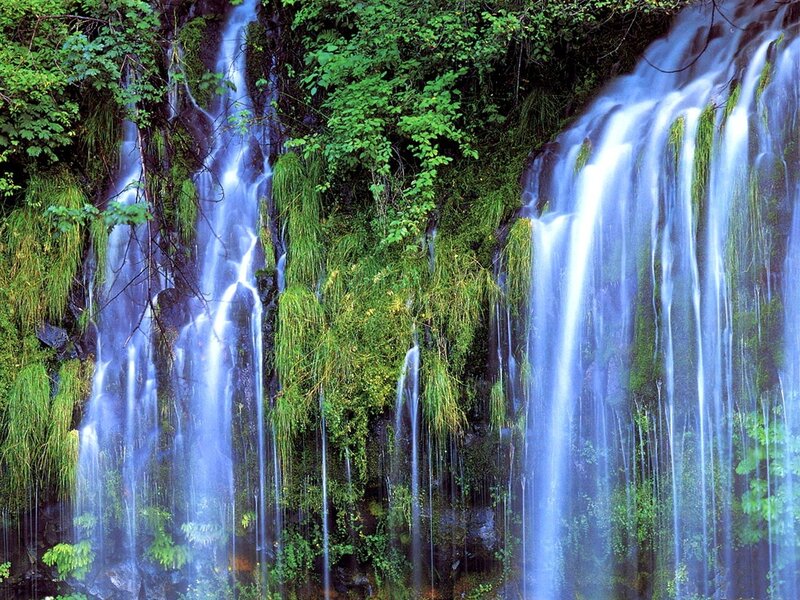 Multiple Waterfalls in Forest — Green, Serene, Photograph, Trees, Moss
