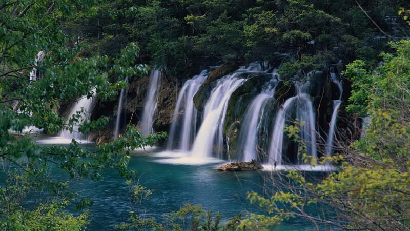 Multiple Waterfalls in Forest — Green, Serene, Photograph, Trees