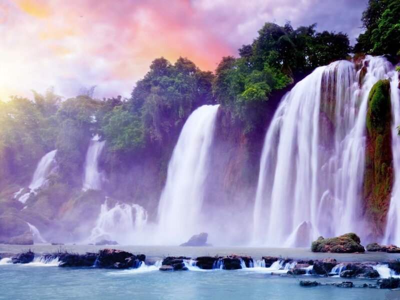 Multiple Waterfalls in Forest — Purple, Serene