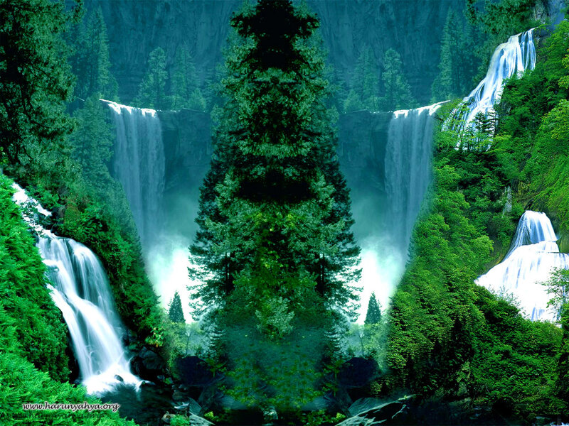 Multiple Waterfalls in Forest