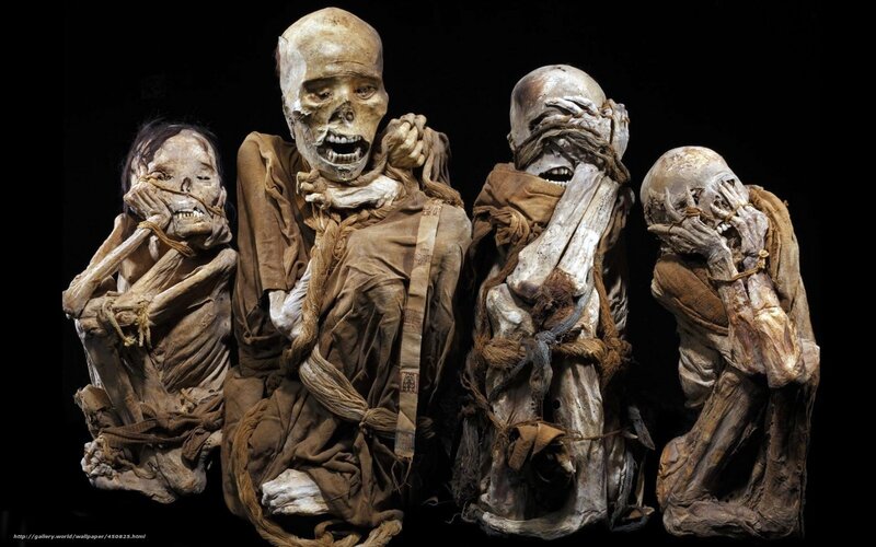 Mummies in burial poses