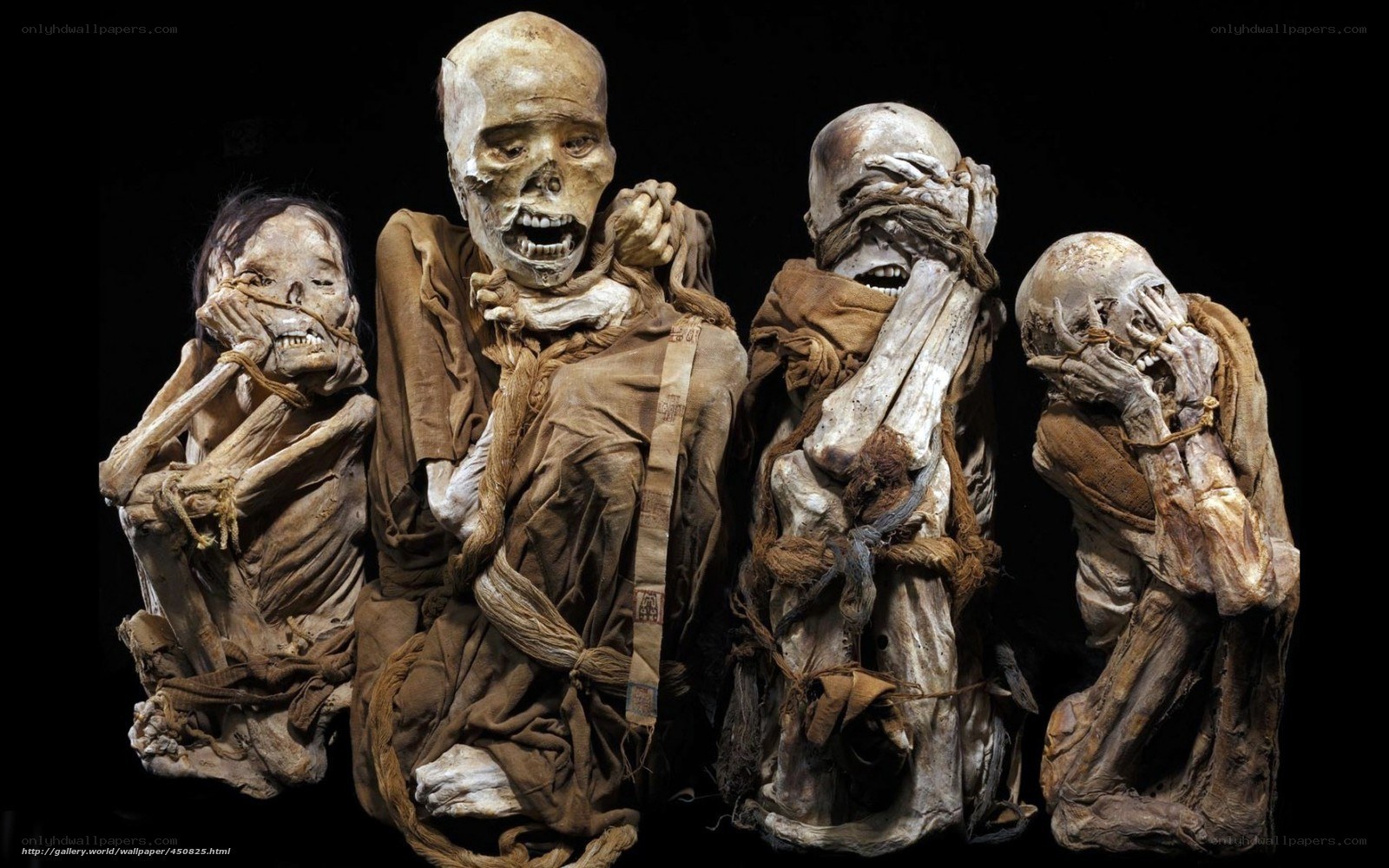 Mummies in burial poses