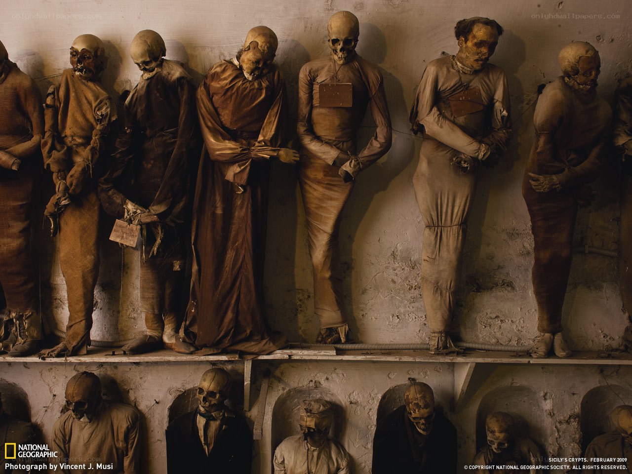 Mummies in Sicilian crypts