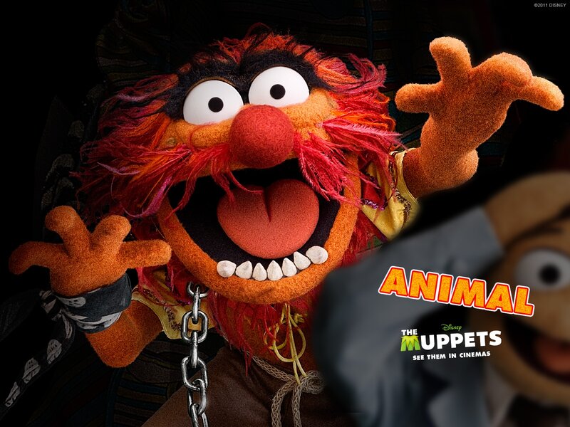 Muppet Character Animal