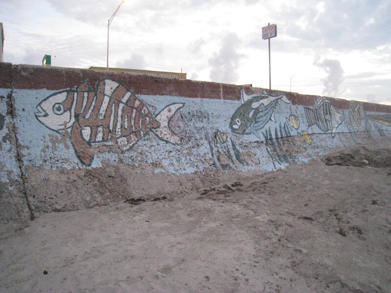 Mural of Fish on Wall