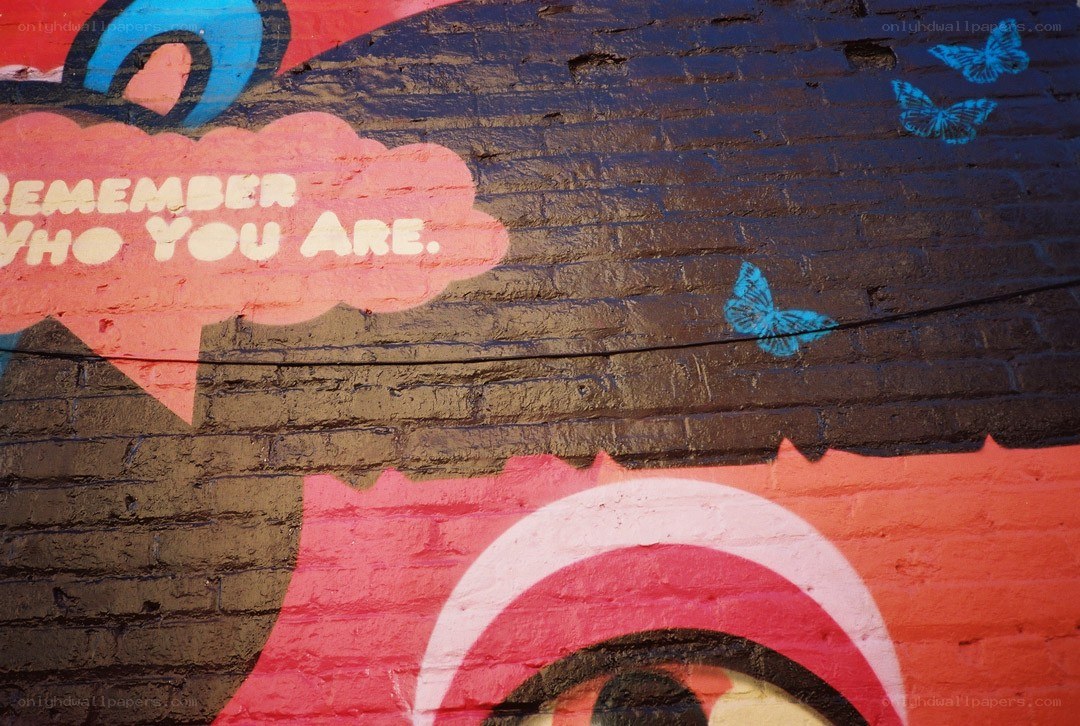 Mural with butterflies and text