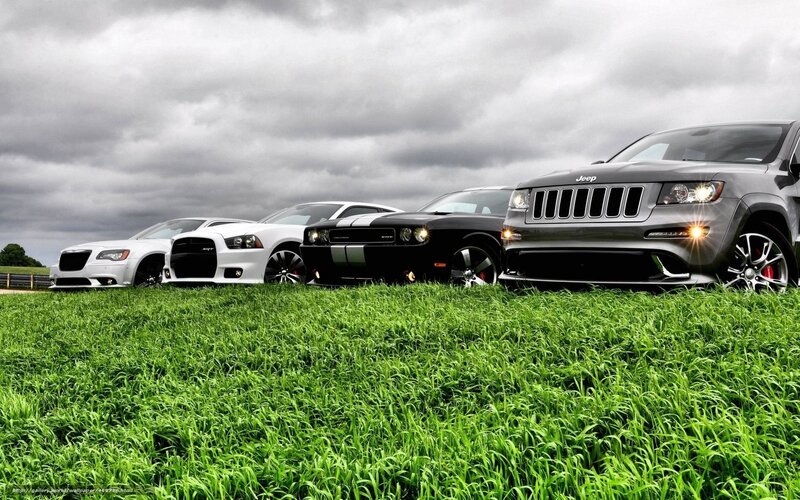 Muscle cars in a field
