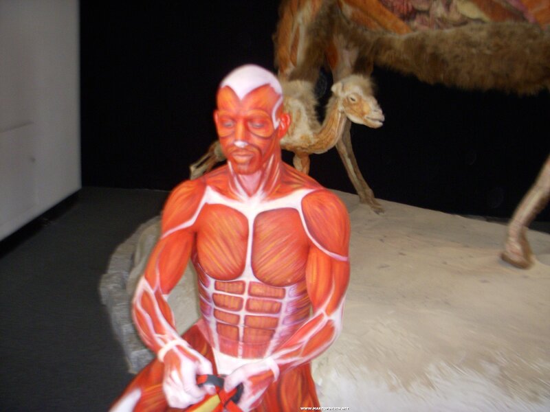 muscle-man body paint art