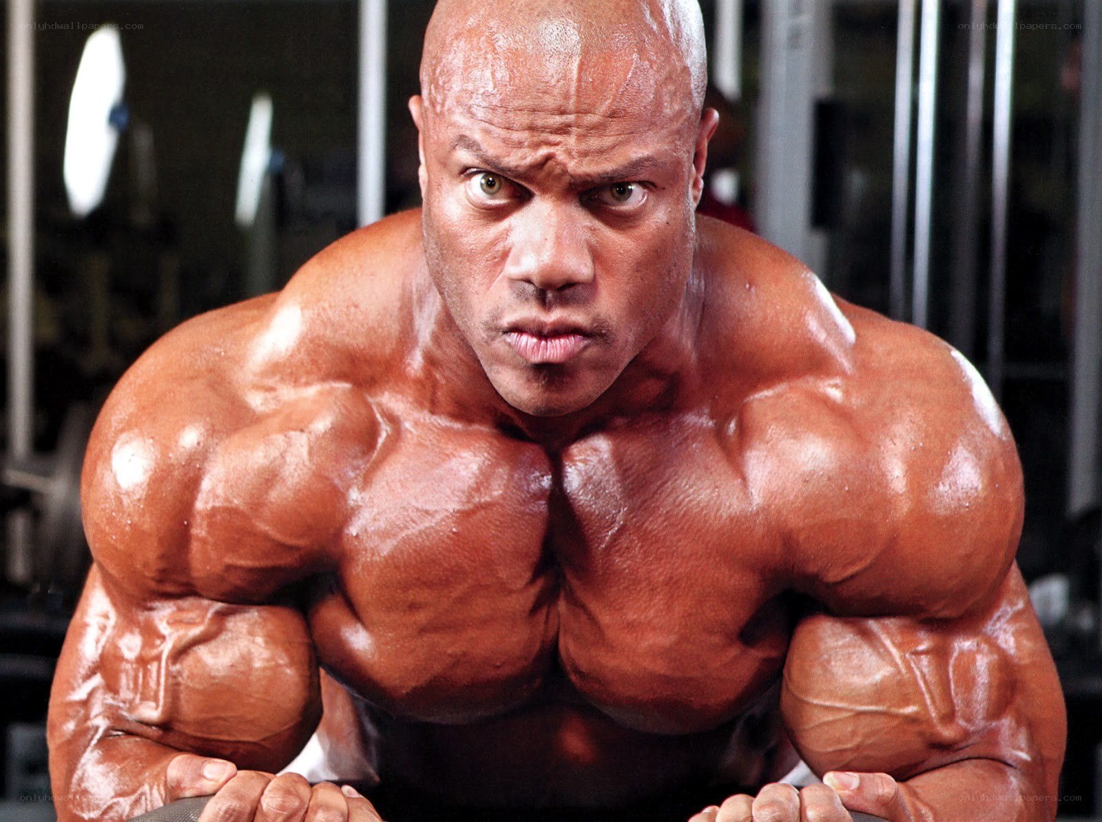 muscular bodybuilder in gym