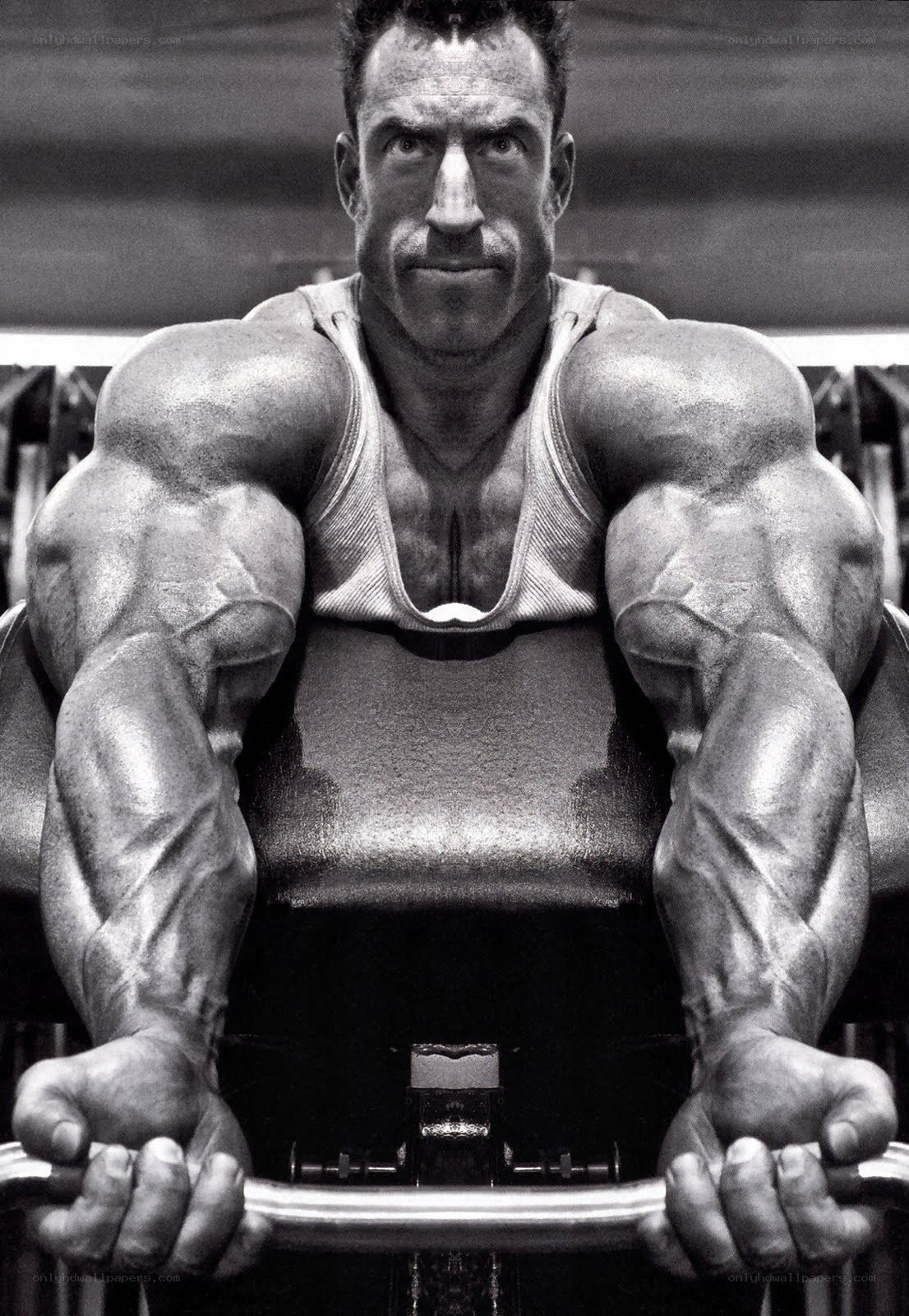 muscular bodybuilder in gym