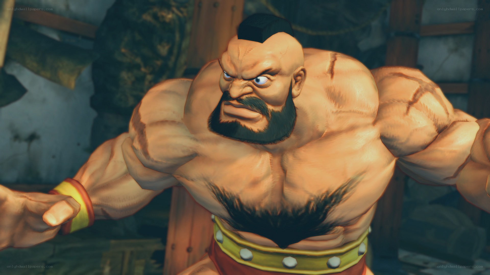 muscular fighter character
