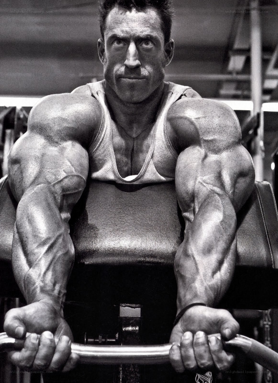 muscular man at gym