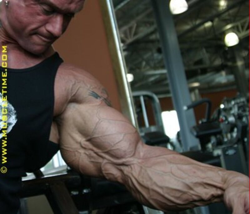 muscular man at gym