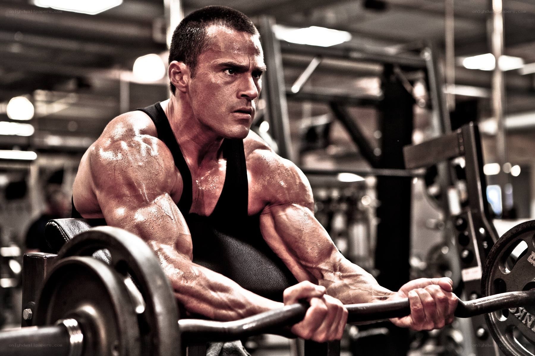 muscular man lifting weights