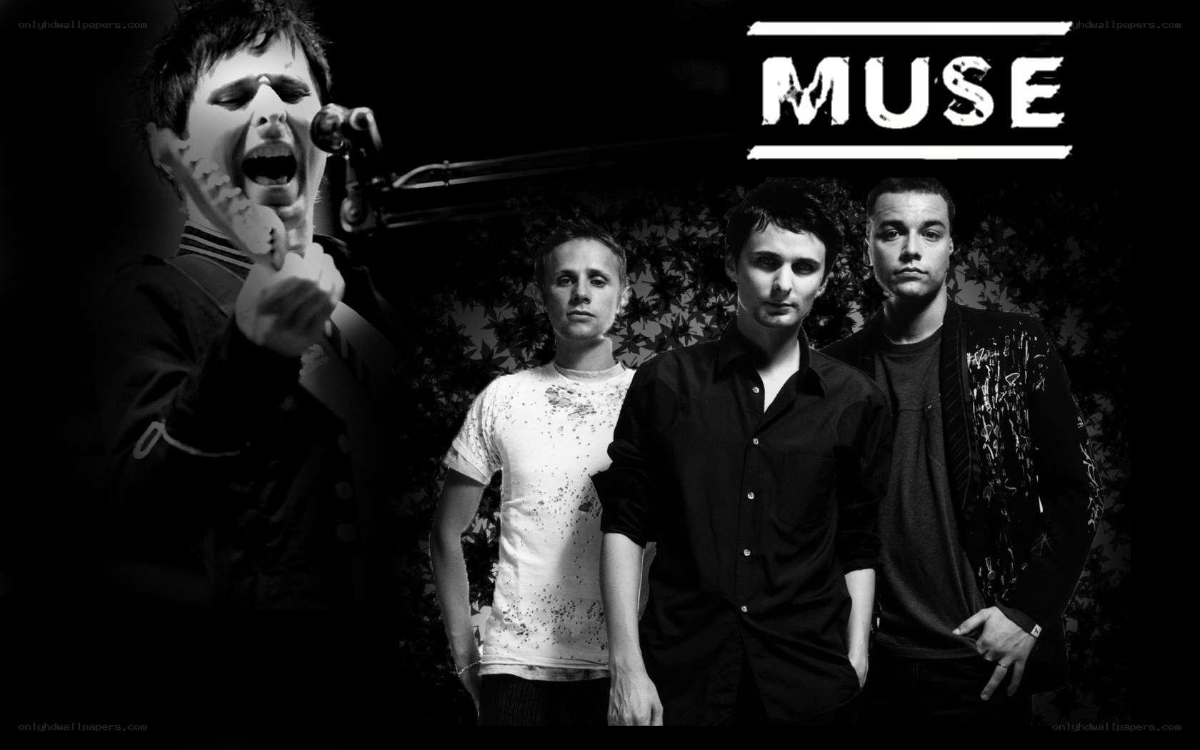 Muse band portrait