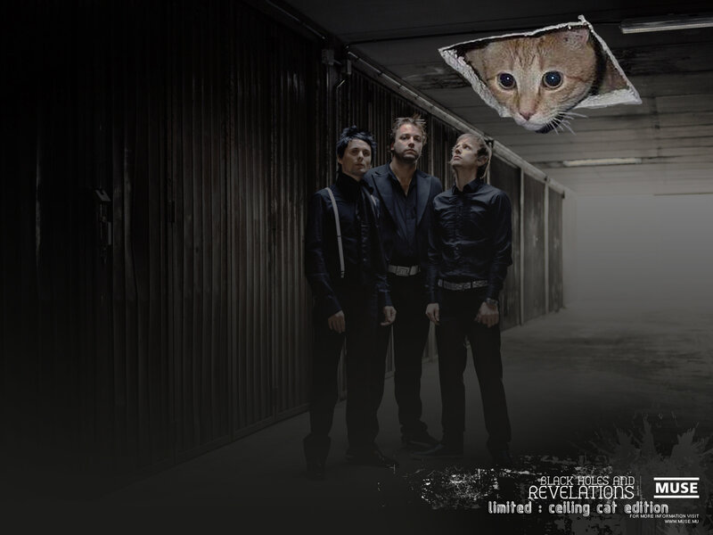 Muse band with ceiling cat