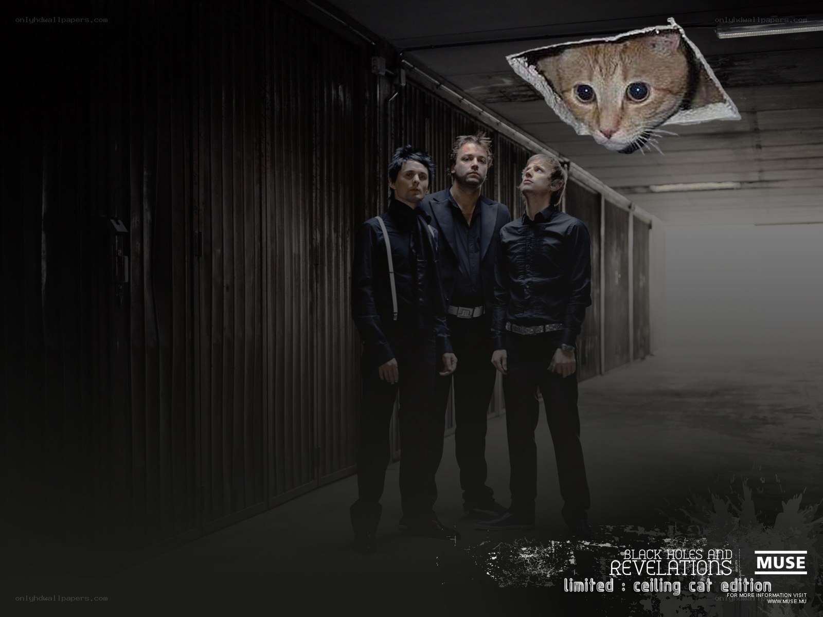 Muse band with ceiling cat