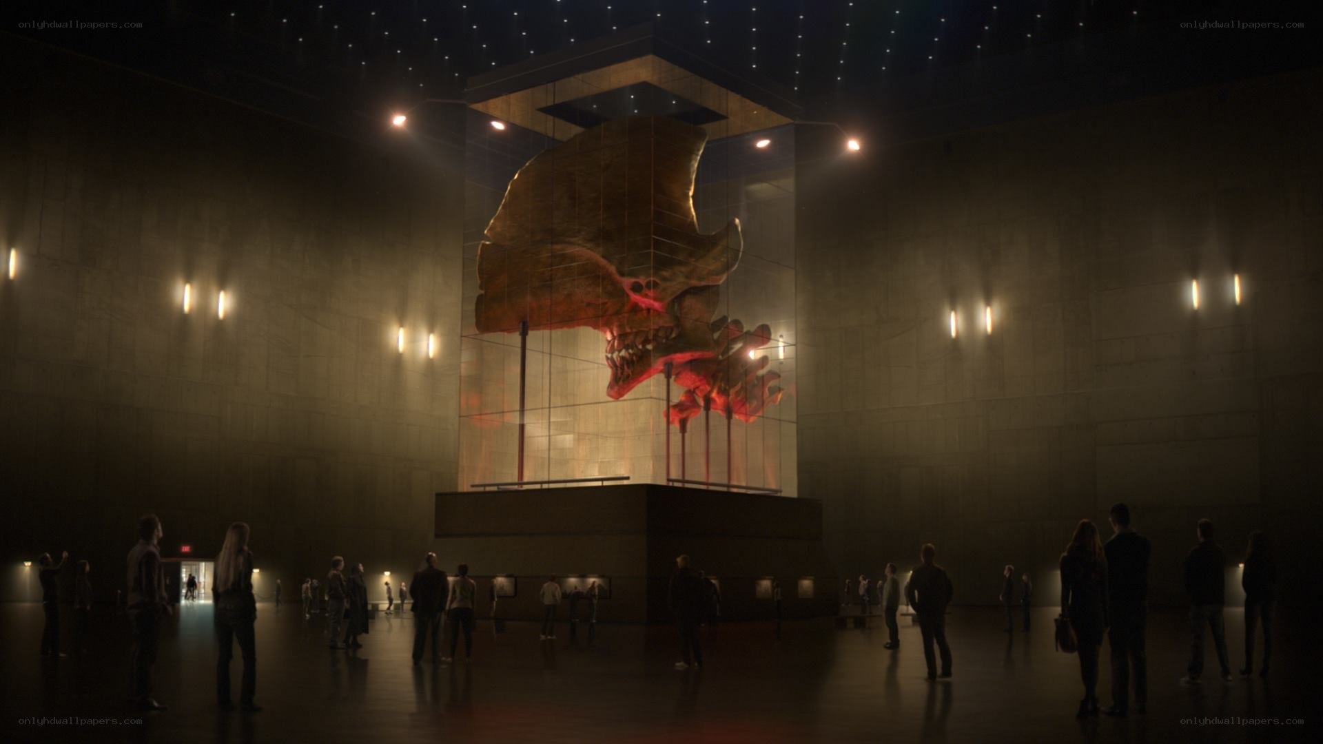 Museum exhibit with dinosaur skull
