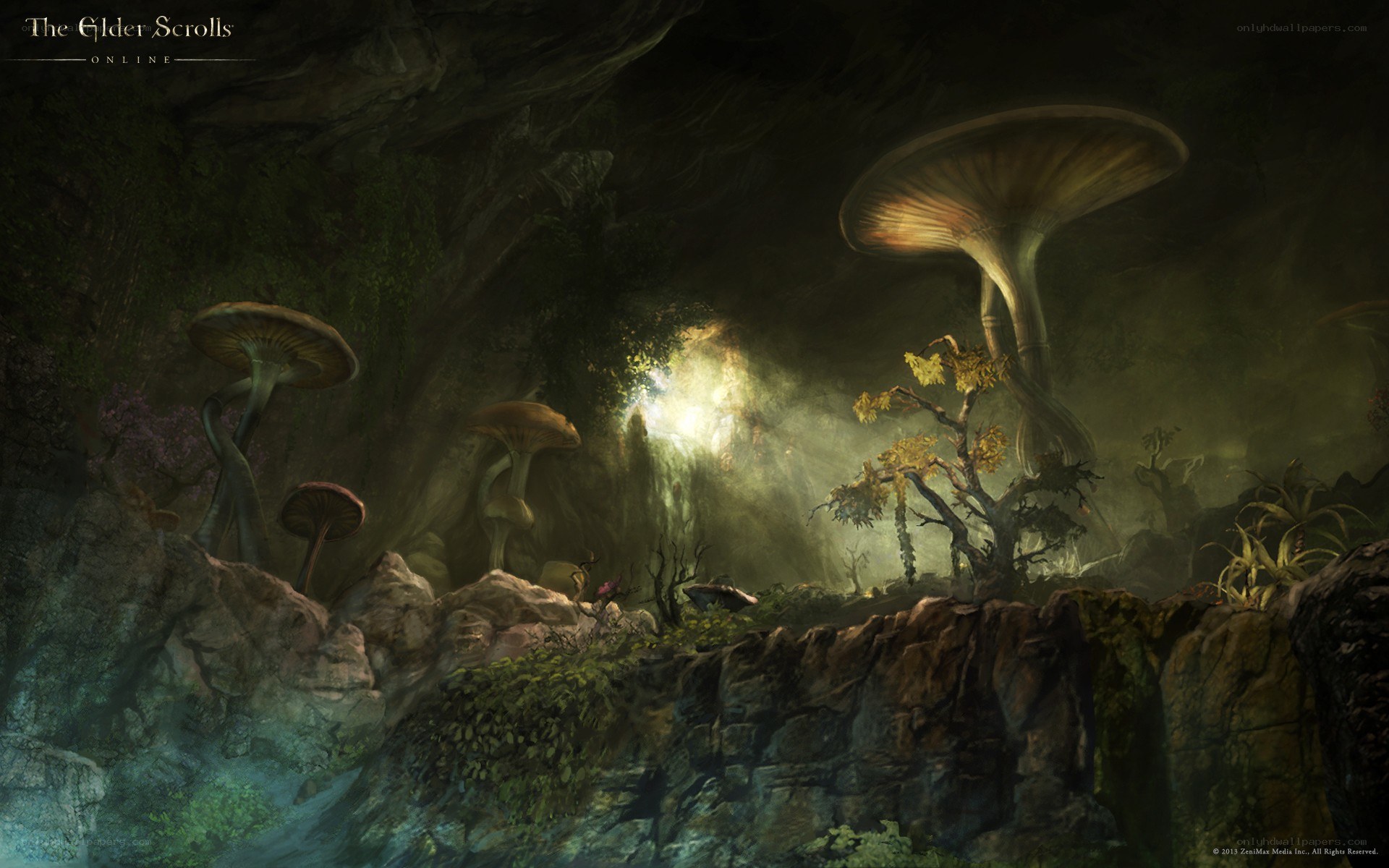 Mushroom cave in The Elder Scrolls