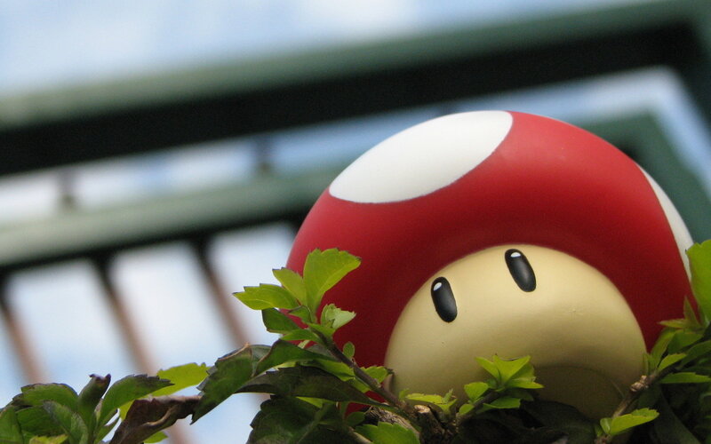 mushroom character in foliage