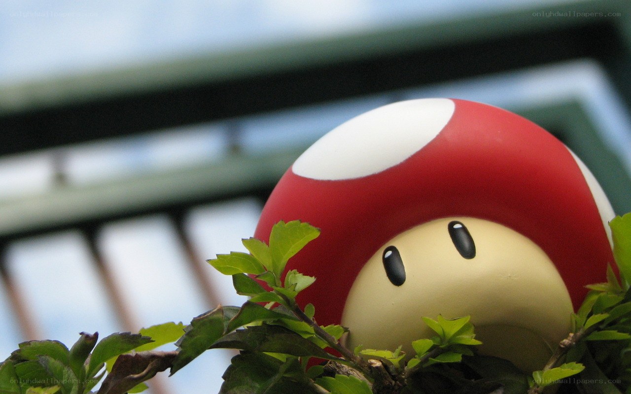 mushroom character in foliage