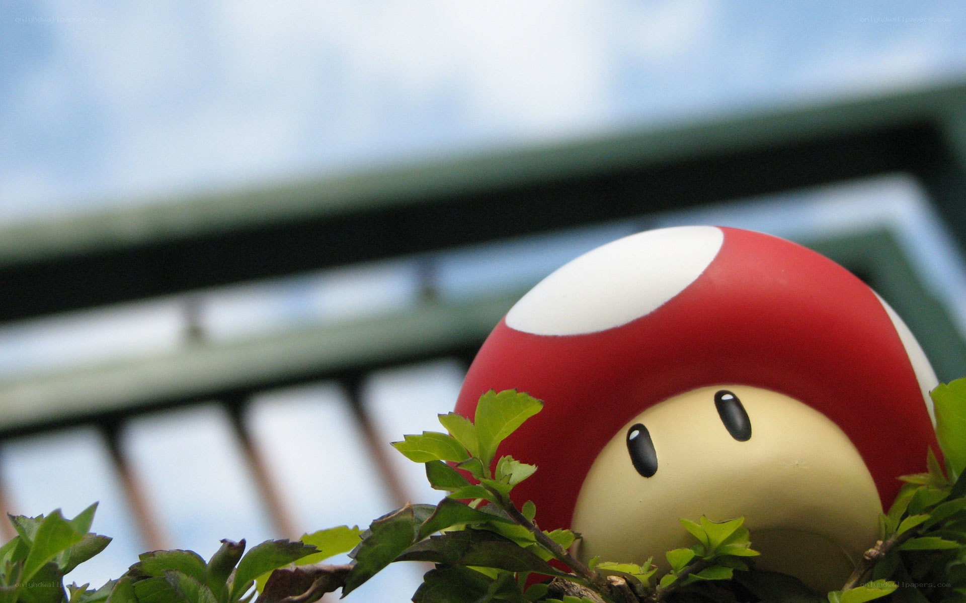 mushroom character in foliage