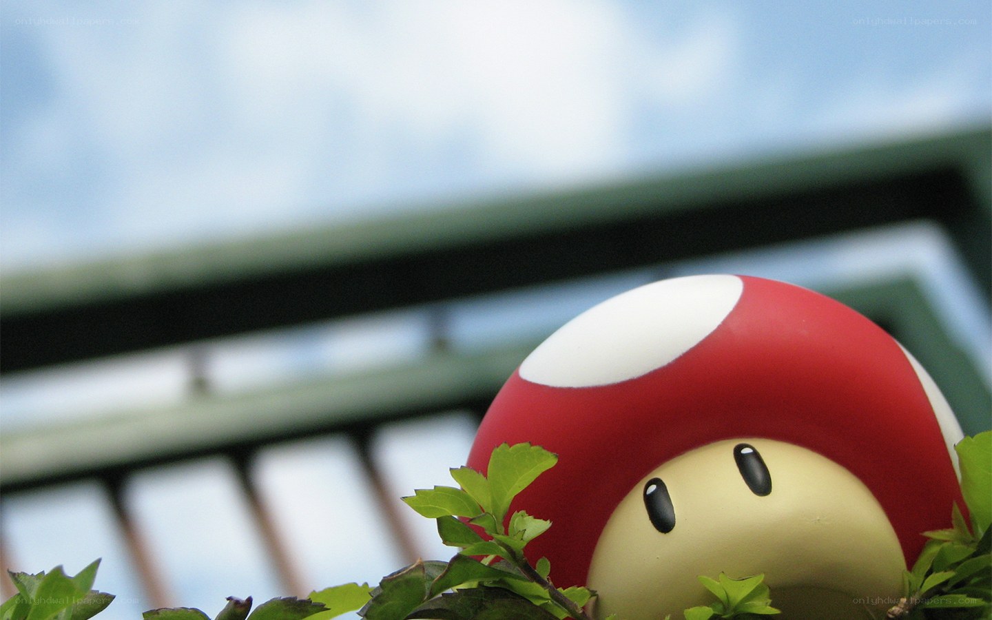 mushroom character in foliage