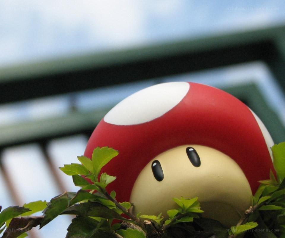 mushroom character in foliage