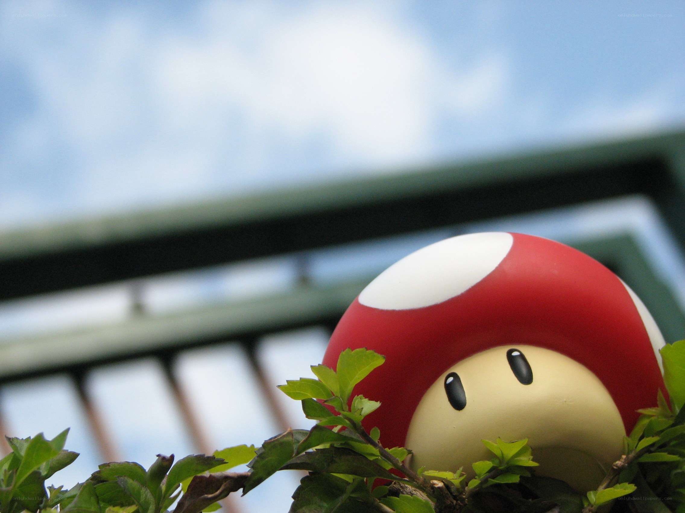 mushroom character in foliage