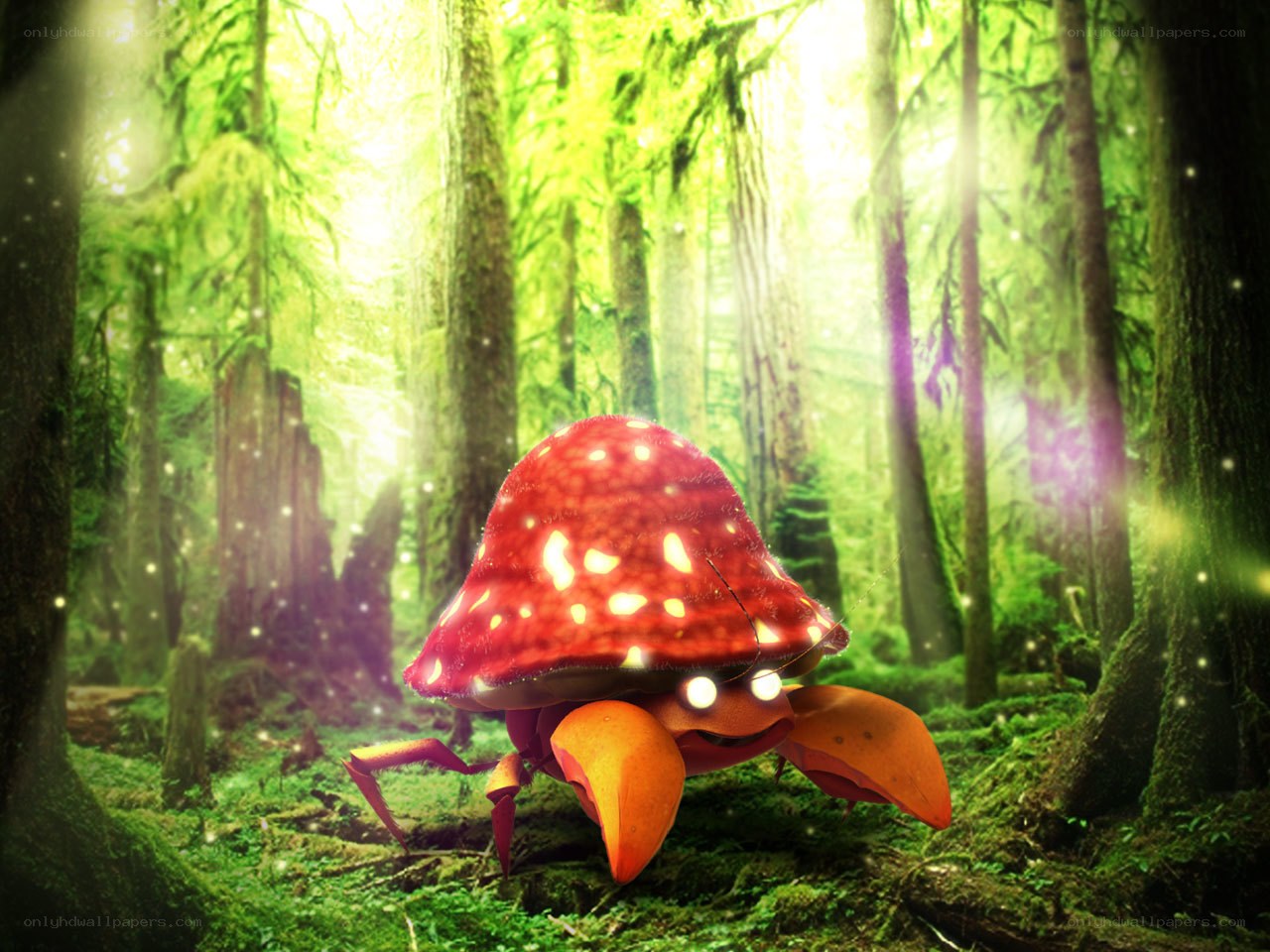 Mushroom crab in a forest