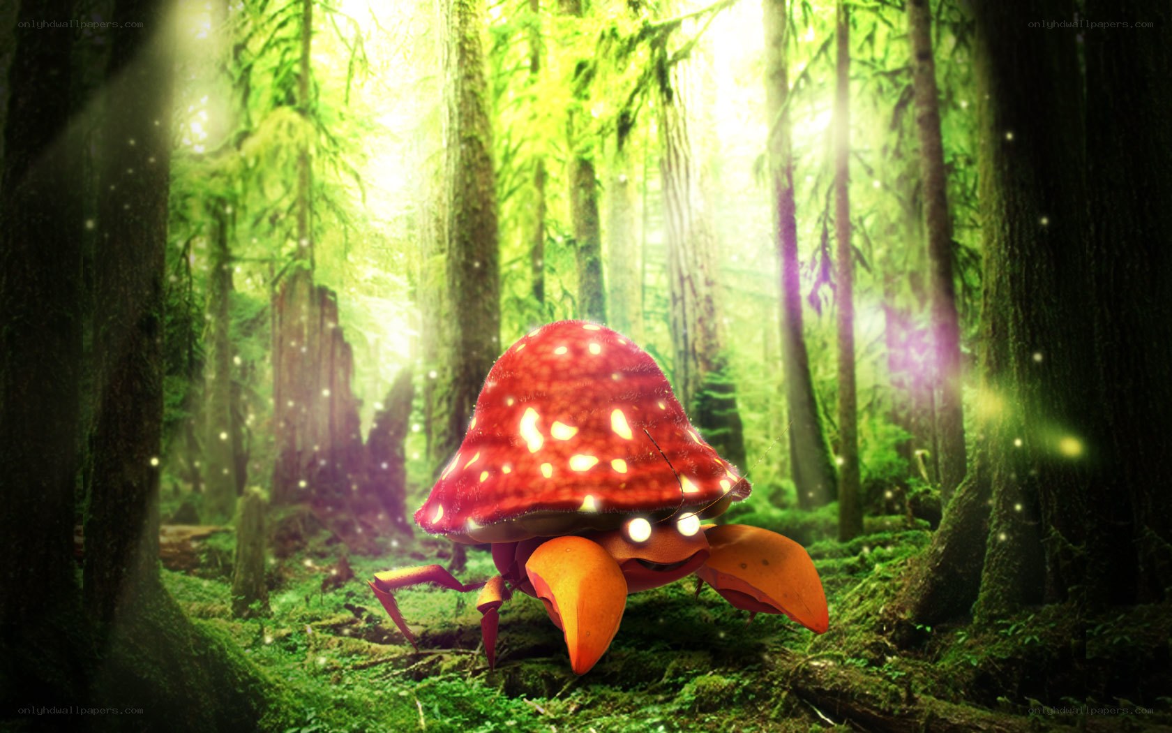 mushroom crab in forest