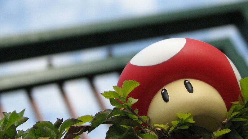Mushroom Figurine in Bush