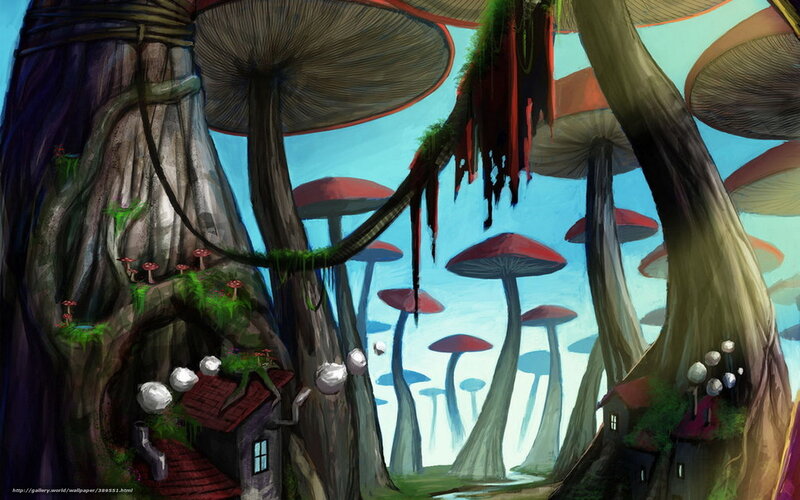 Mushroom forest fantasy