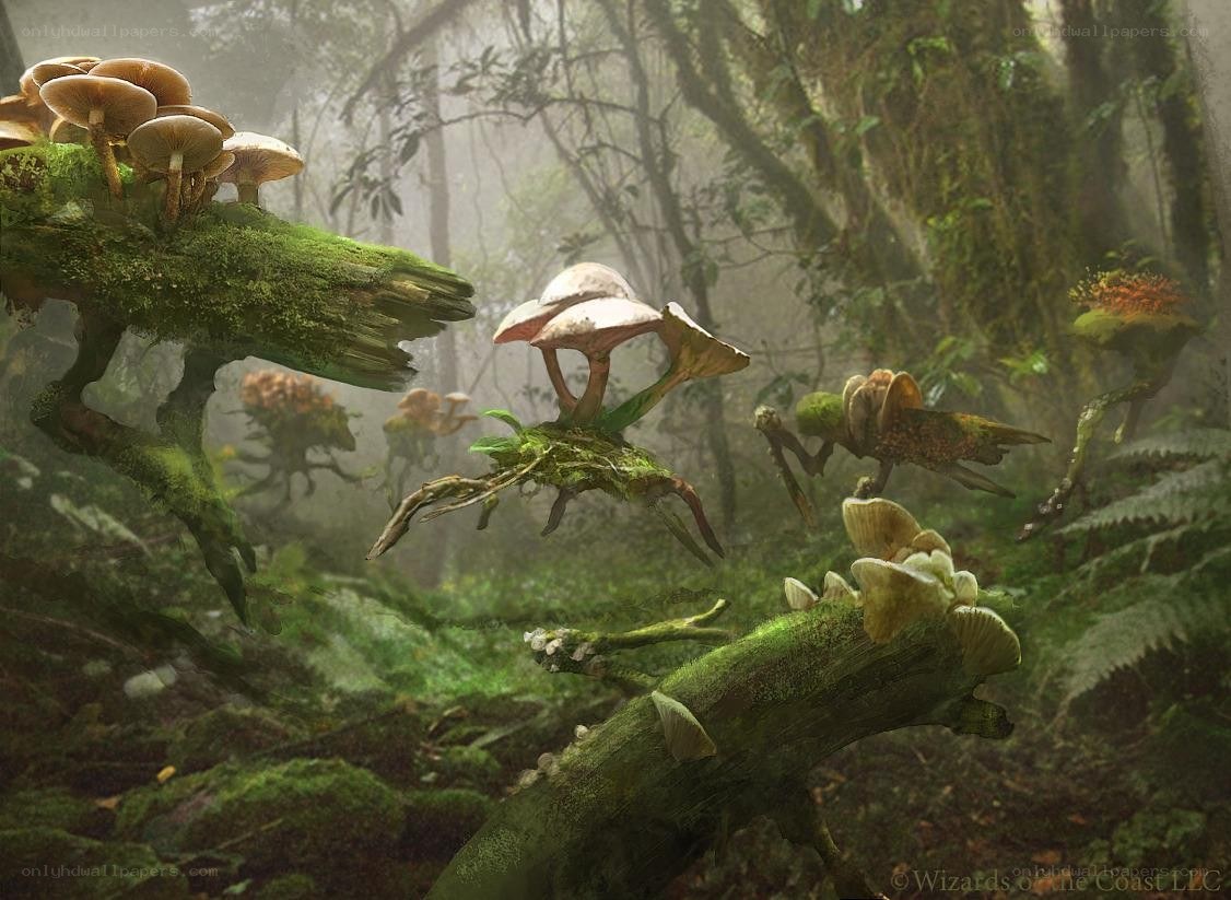 Mushroom forest in mist