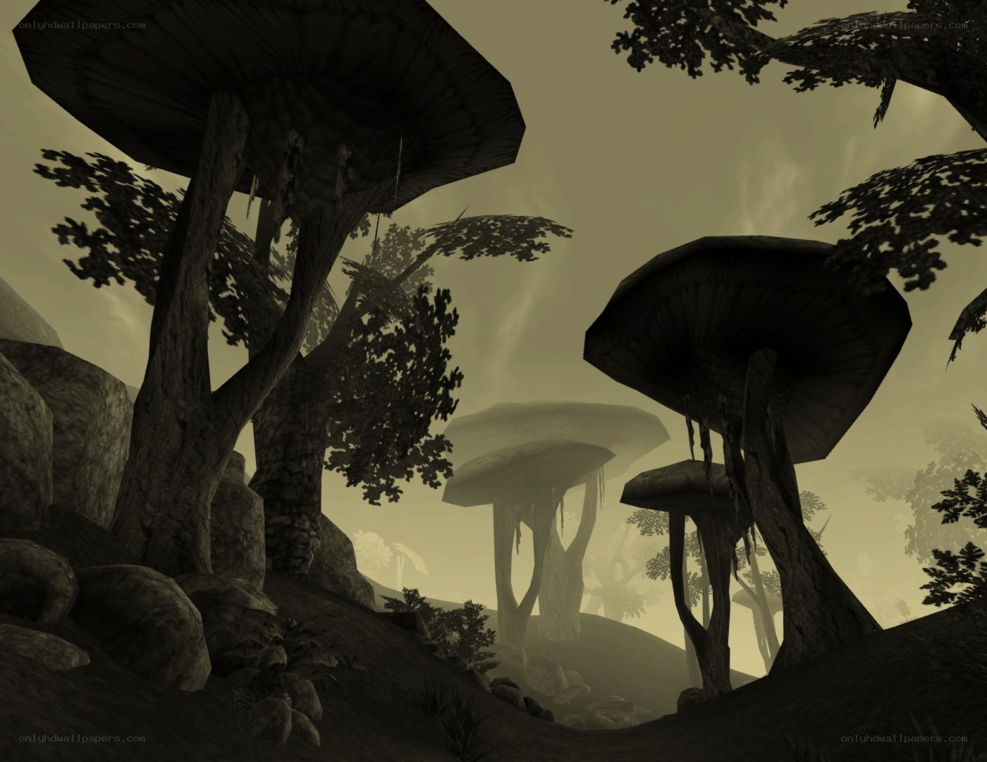 mushroom forest landscape
