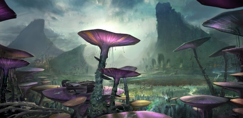 Mushroom forest landscape