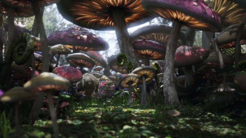 Mushroom forest scene