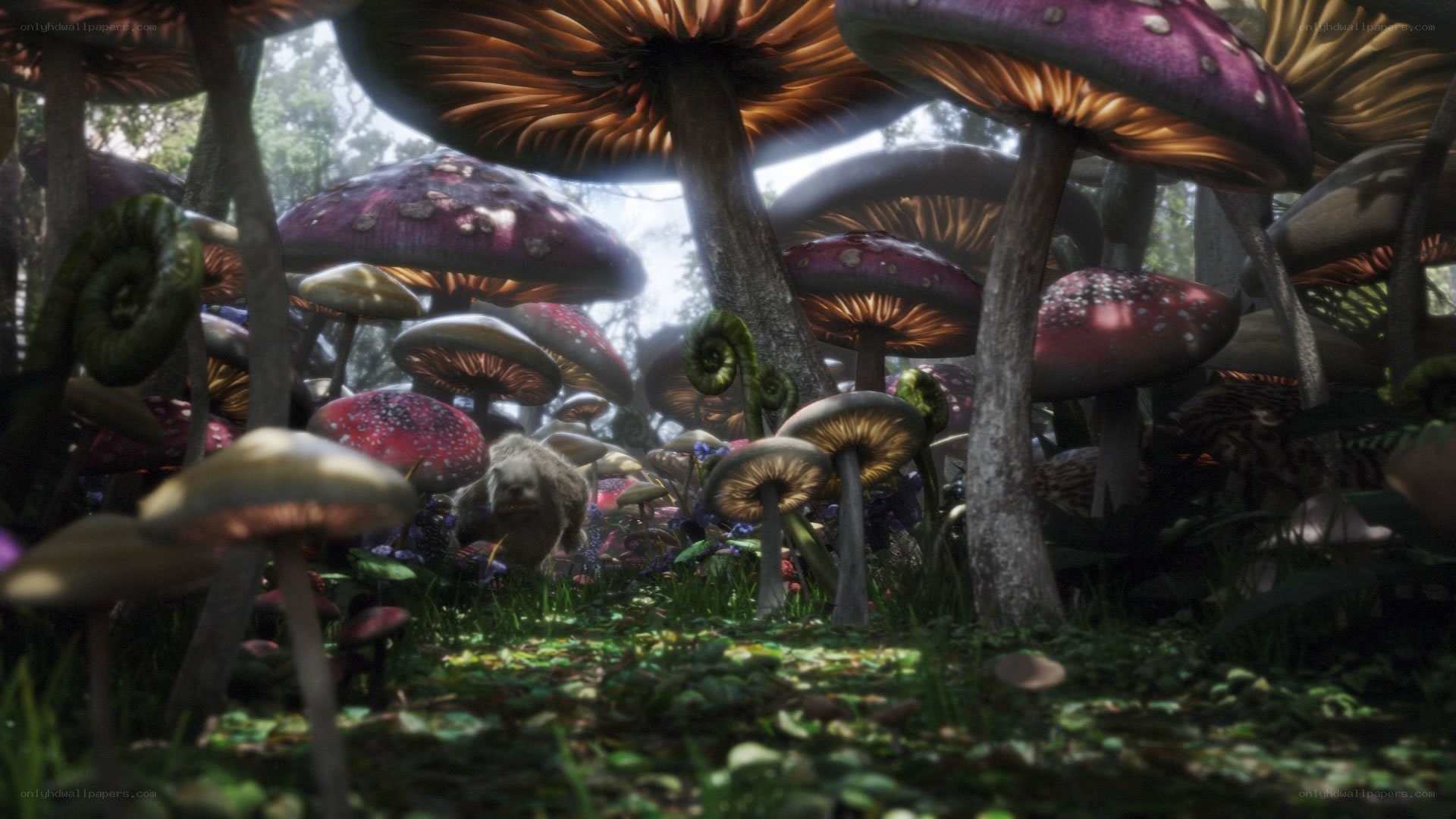 Mushroom forest scene