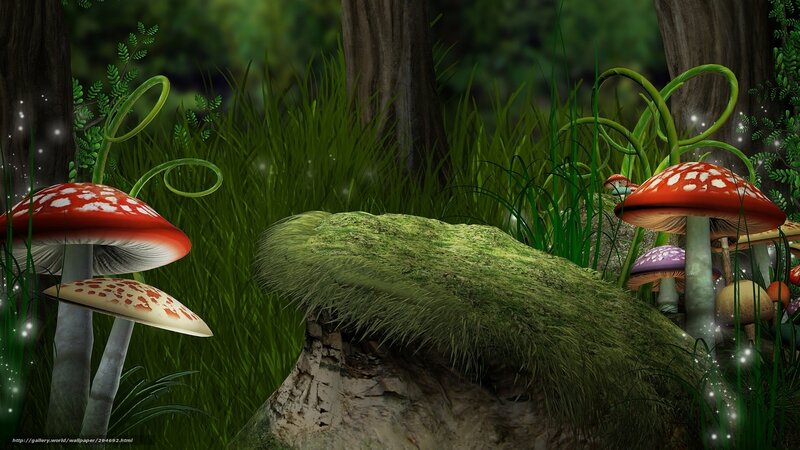 Mushroom forest scene
