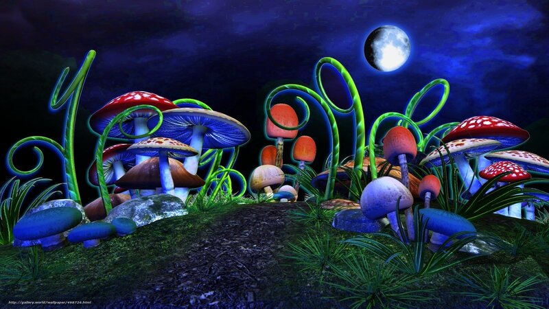 Mushroom forest under moonlight