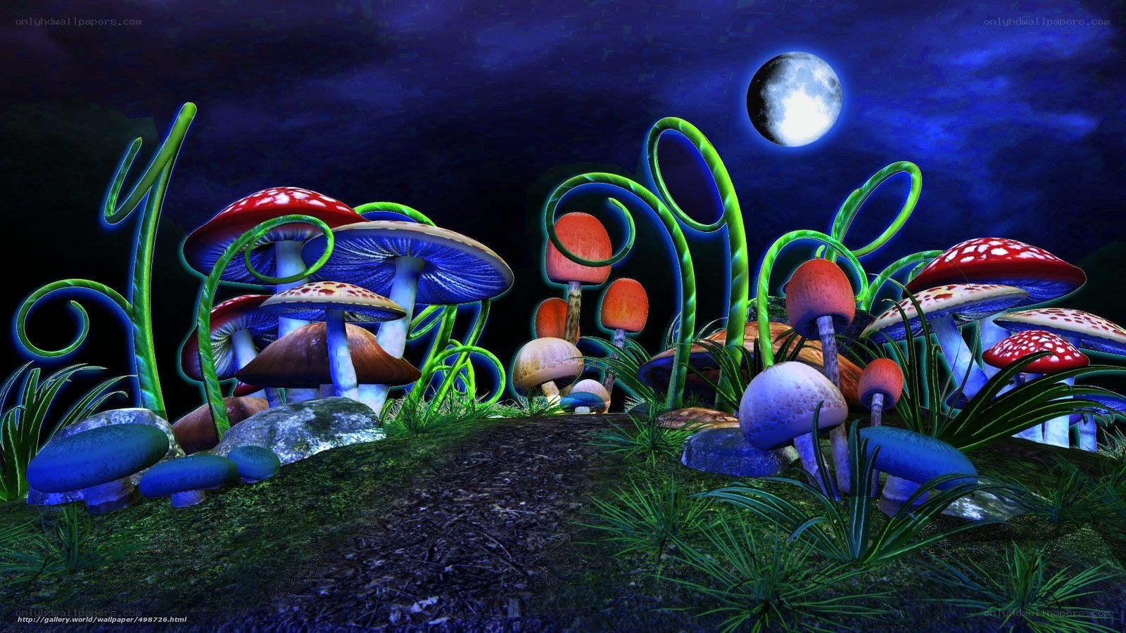 Mushroom forest under moonlight