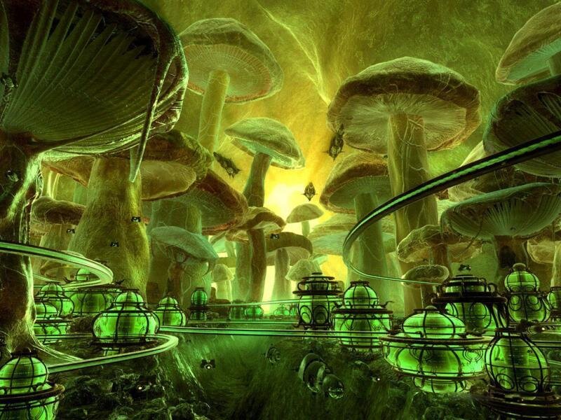 Mushroom forest with glowing lanterns