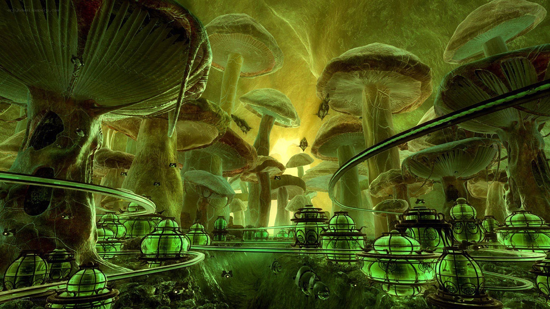 Mushroom forest with glowing lanterns