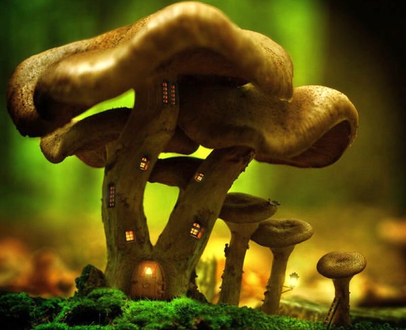 Mushroom House in Forest — Green, Whimsical
